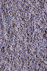 US Wellness Naturals lavender tea brew steep in cup