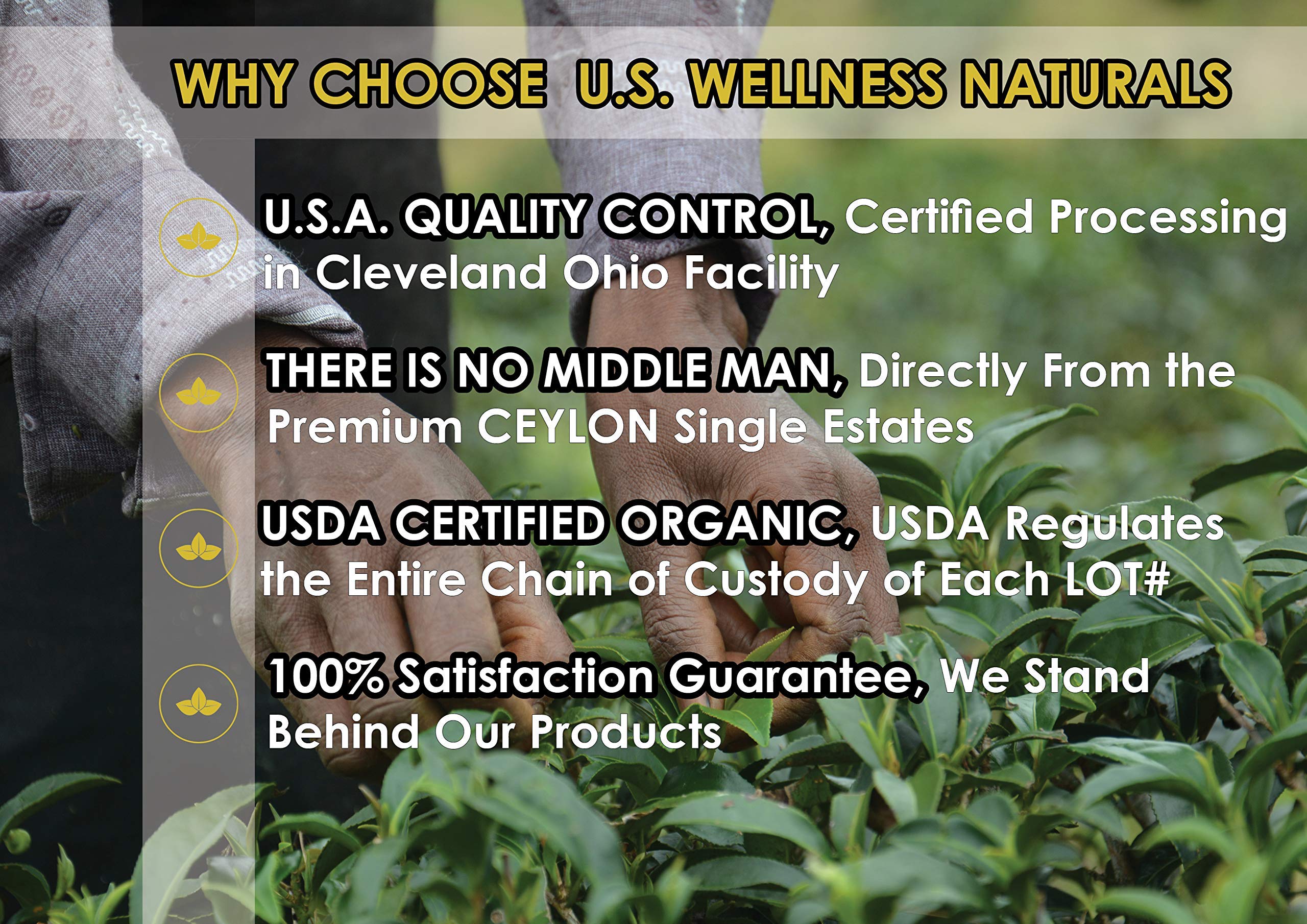 US Wellness Naturals Organic-certified tea signals ethical, sustainable sourcing you can trust