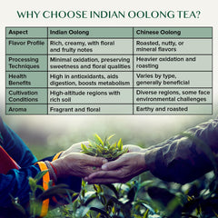 VAHDAM Himalayan tea plants showcase premium oolong harvested at altitude for nuanced flavors.