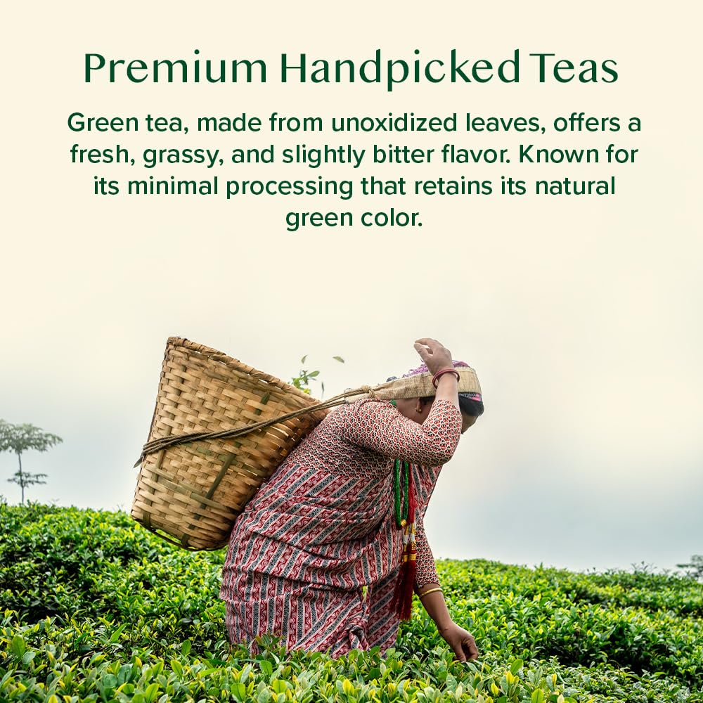 VAHDAM brew-ready tea scene invites cozy moments at home or office.