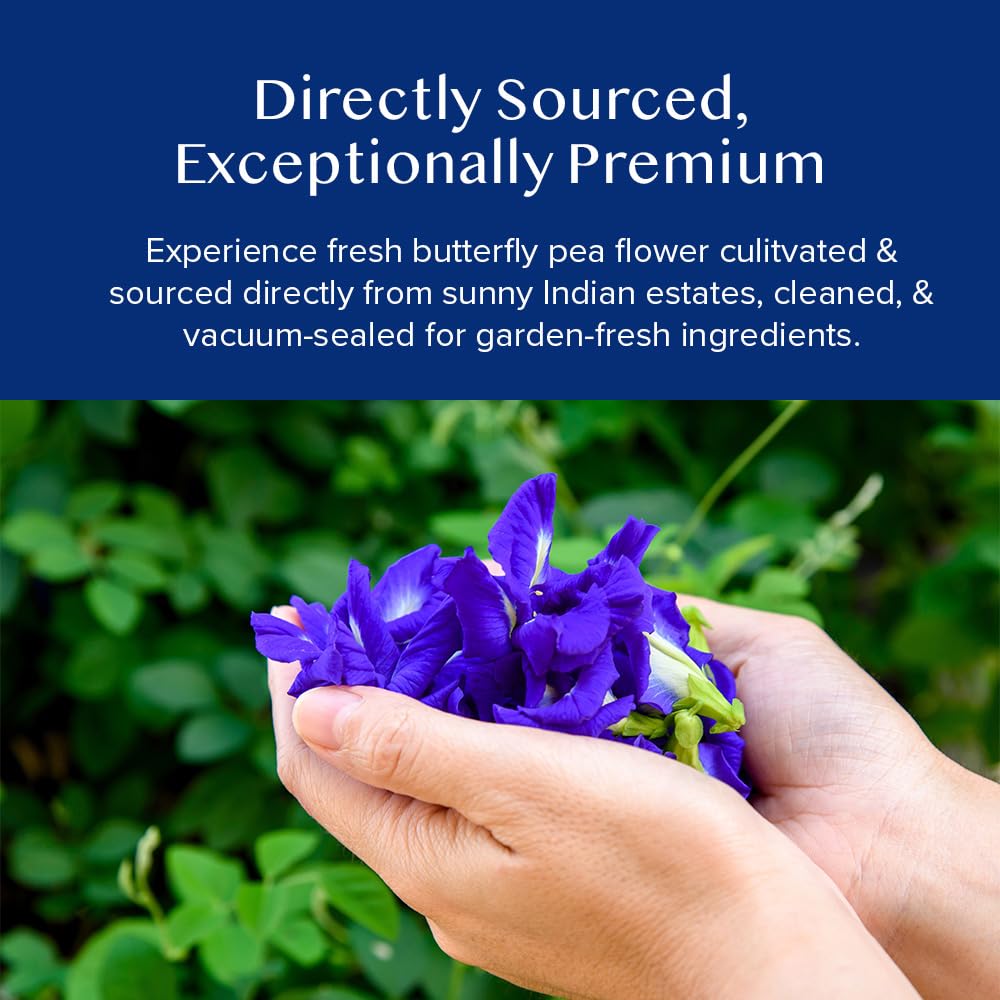 VAHDAM Butterfly Blue Pea Tea for iced brews delivers striking color and delicate taste.