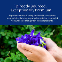 VAHDAM Butterfly Blue Pea Tea for iced brews delivers striking color and delicate taste.