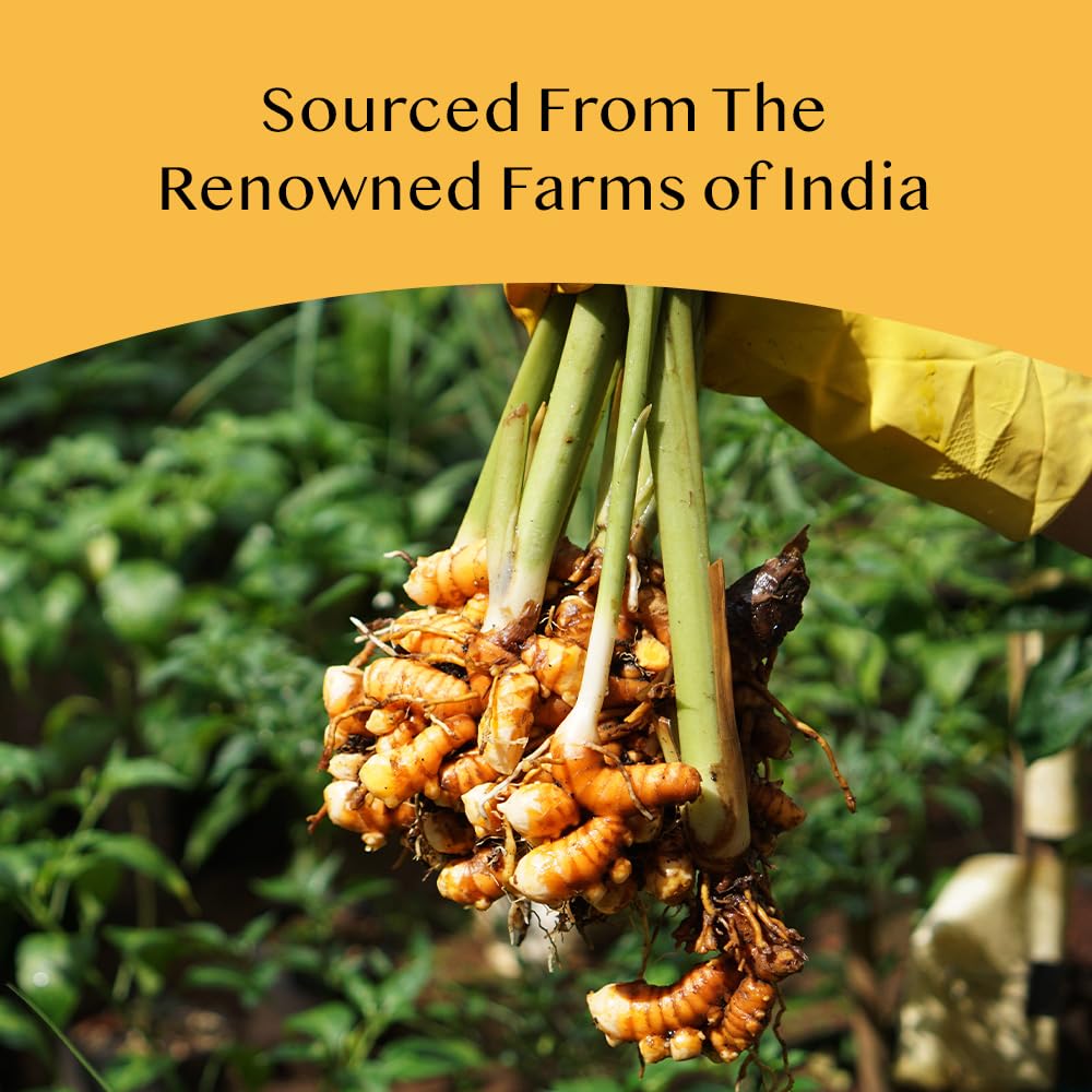 VAHDAM direct-from-source turmeric, supporting sustainable Indian farms.