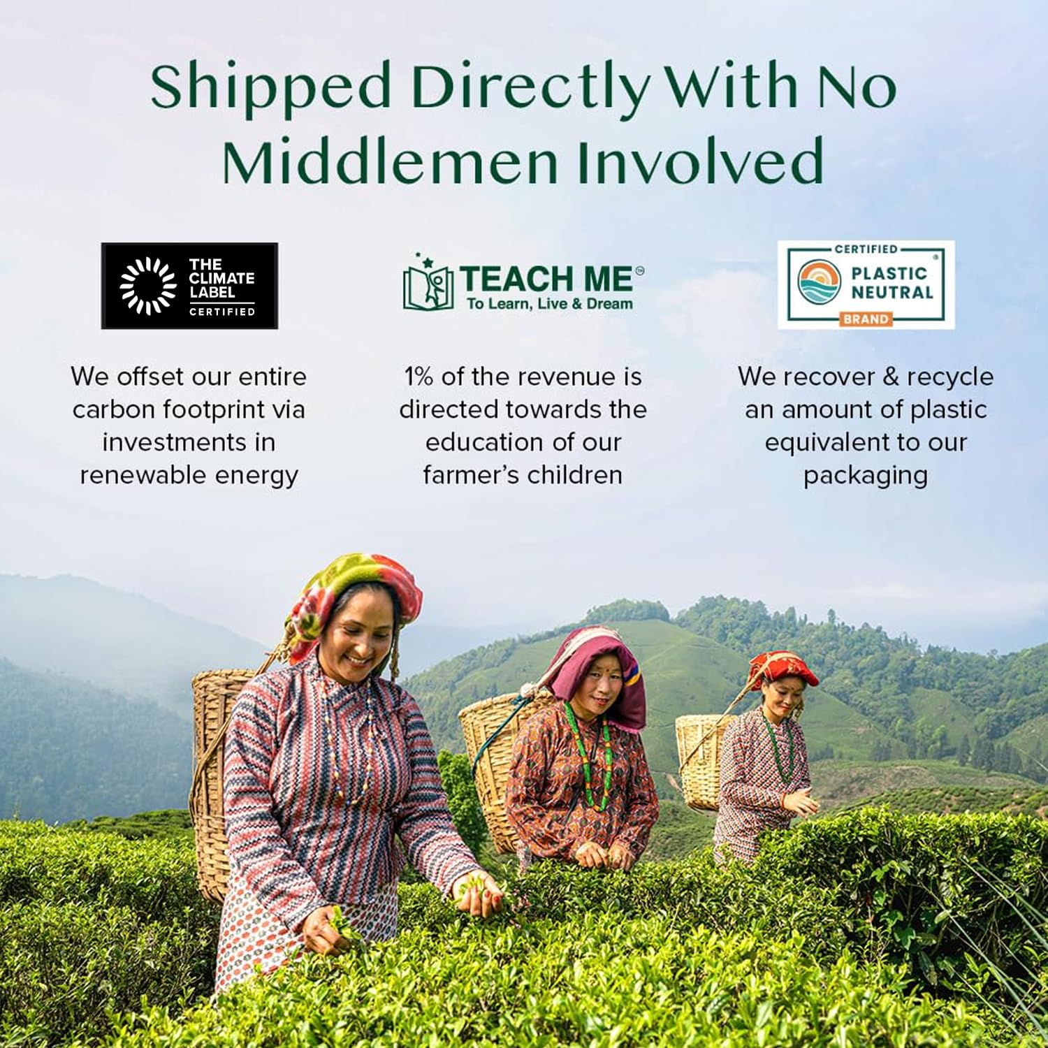 Ethical, direct fair-trade supply supporting tea farmers
