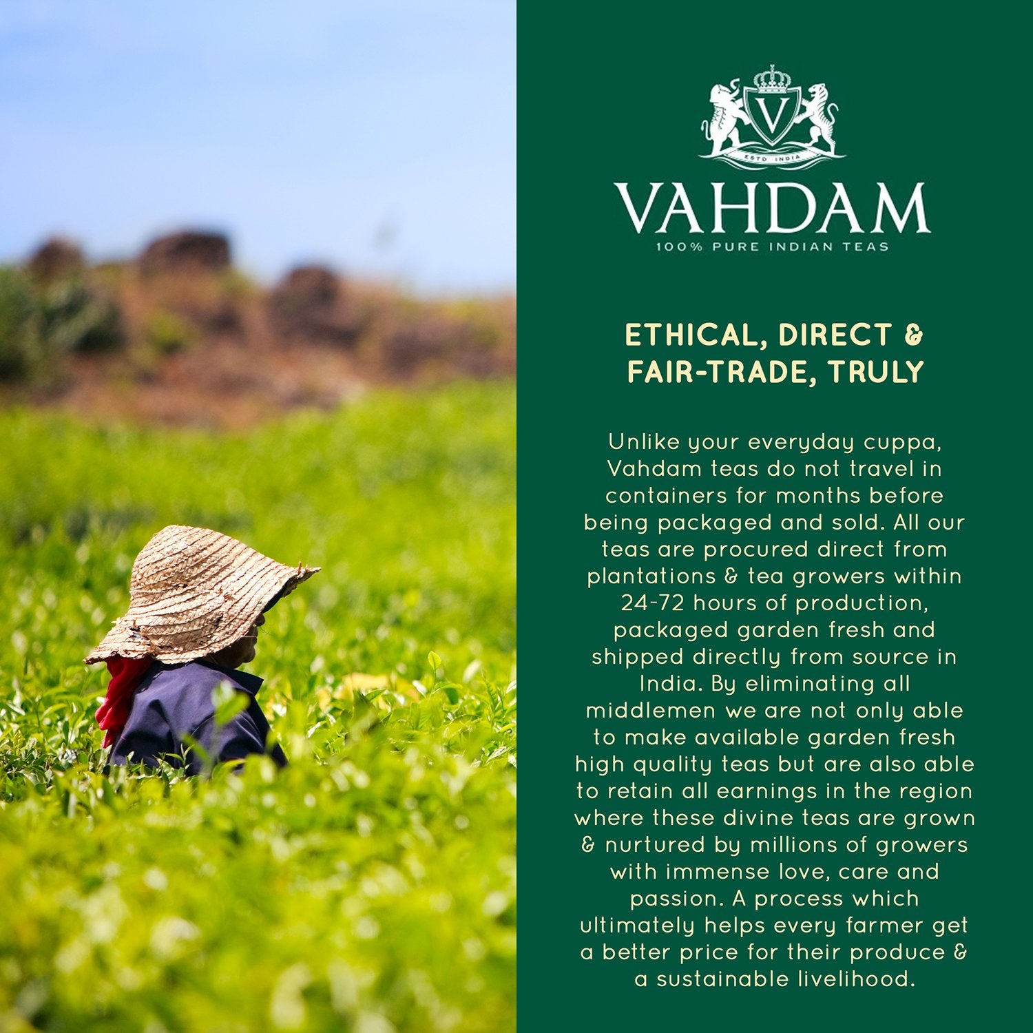 VAHDAM tea served iced for a crisp, energizing twist.
