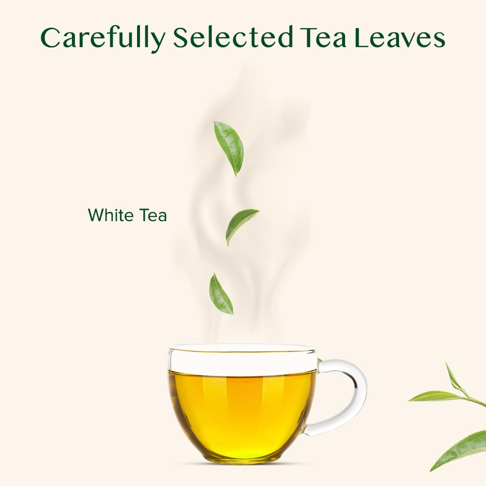 VAHDAM Imperial White Tea environmental impact concept illustrates carbon and plastic neutrality.