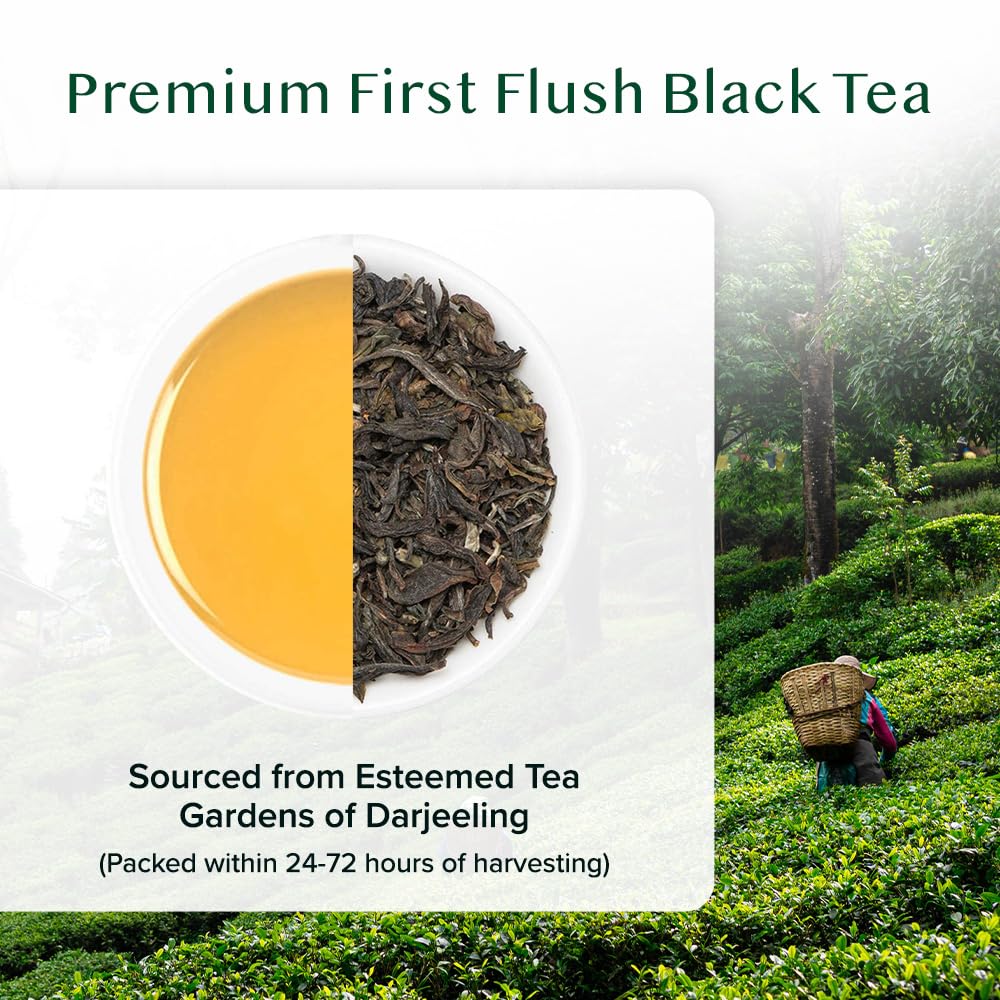 VAHDAM sources from premium plantations for high-quality flavor.
