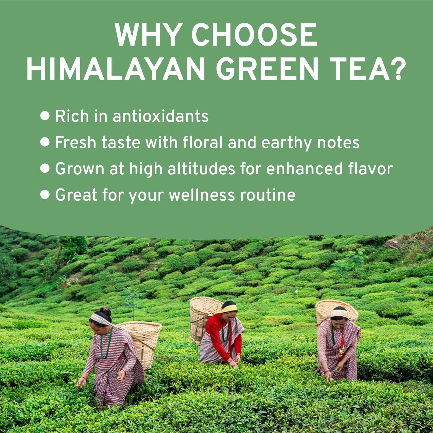 VAHDAM three-layer moisture-resistant bag keeps tea fresh.