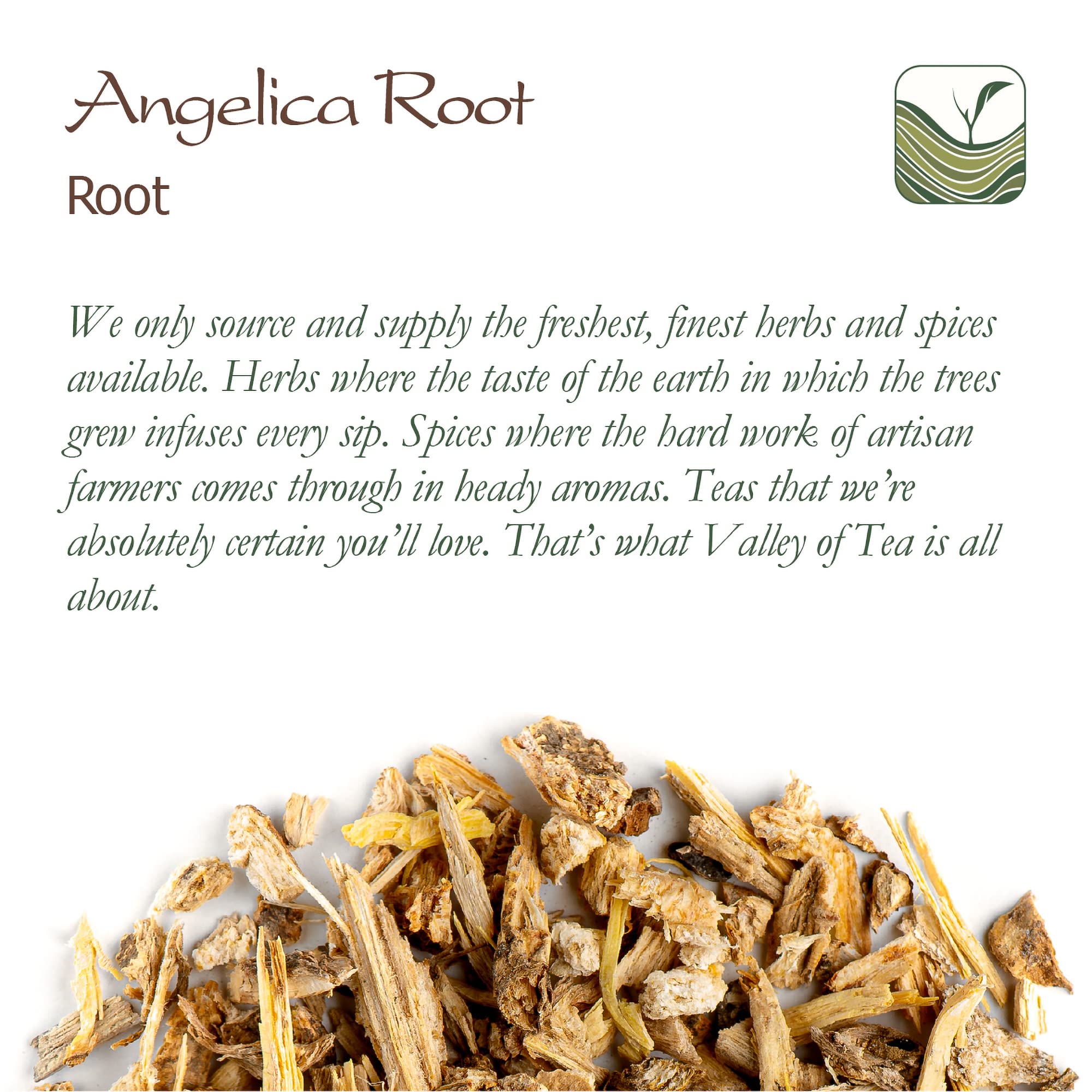 Valley of Tea angelica root infusion ready - simple preparation for aromatic tea