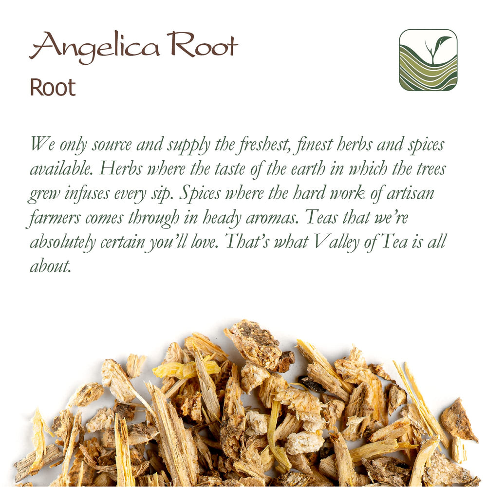 Valley of Tea angelica root infusion ready - simple preparation for aromatic tea