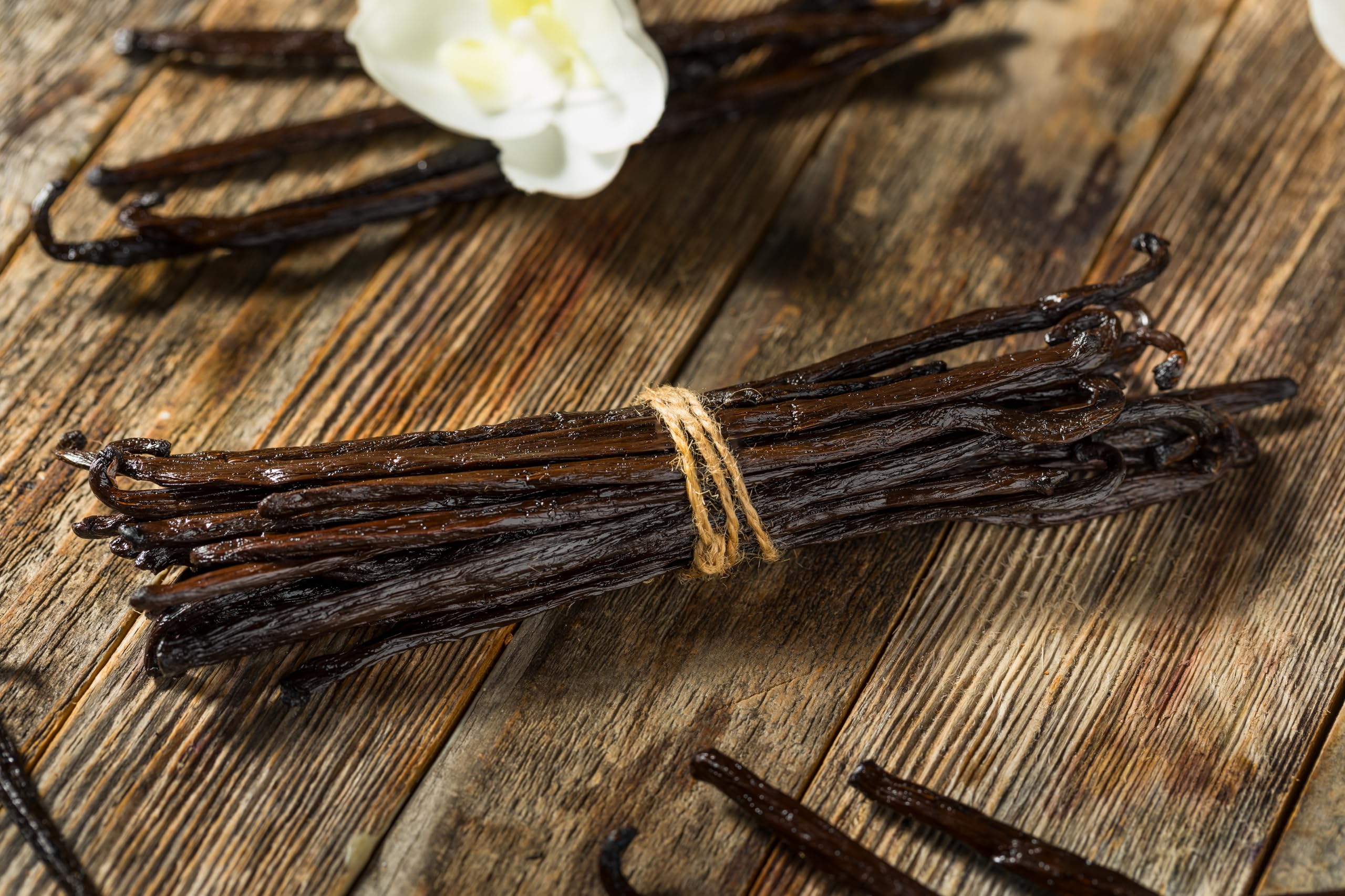 Vanilla Bean Kings vanilla swirls in desserts for a sophisticated finish.