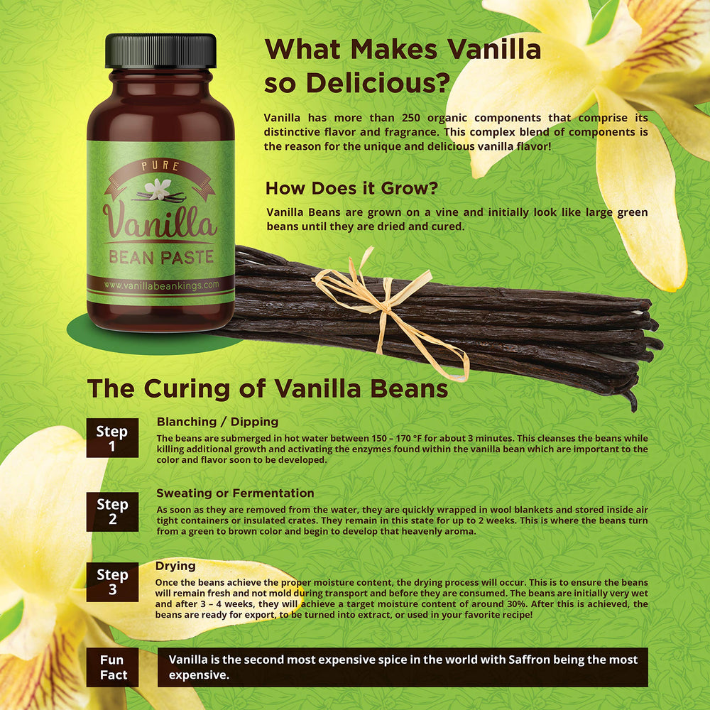 Ice cream base enriched by Vanilla Bean Kings paste.
