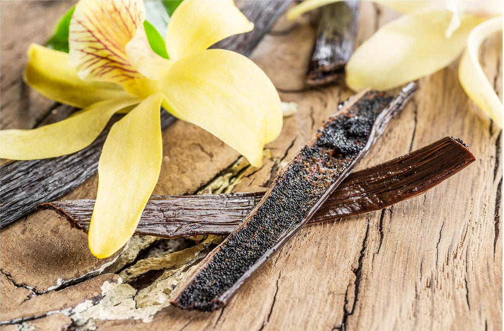 Vanilla Bean Kings Tahitian beans seeds visible signaling premium quality