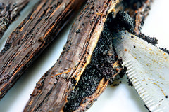 Three-ingredient formula tag shows cane alcohol, water, vanilla beans