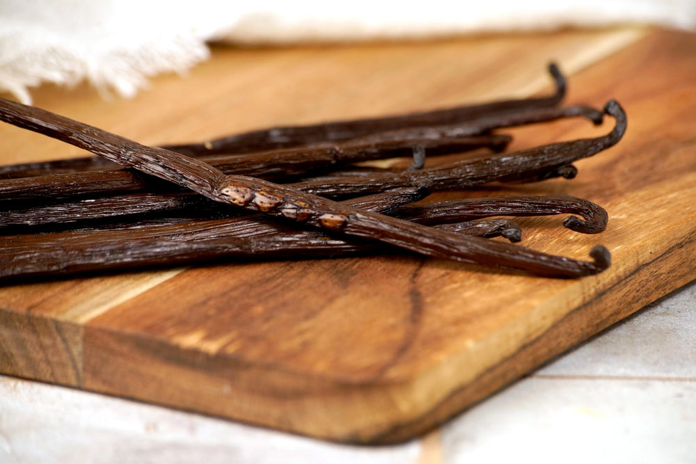 Vanilla Bean Kings seeds closeup highlights abundant micro-vanilla seeds.