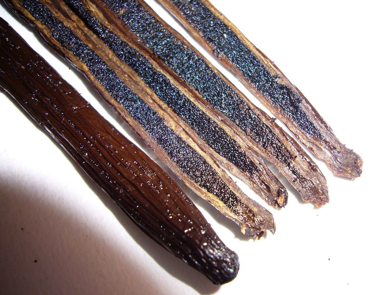Vanilla Bean Kings triple-inspection-process highlights strict quality checks.