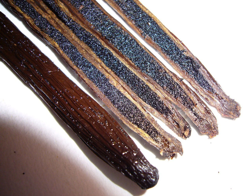 Vanilla Bean Kings triple-inspection-process highlights strict quality checks.