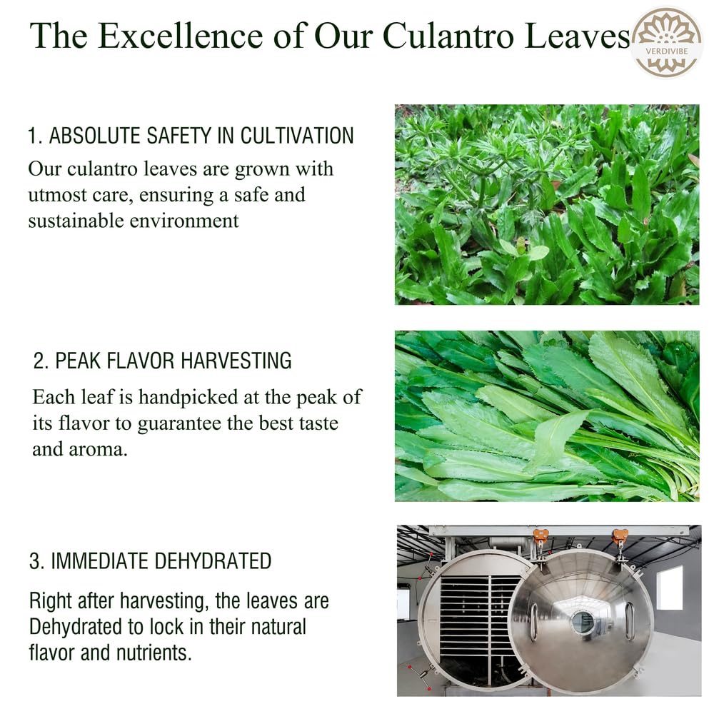 VERDIVIBE culantro leaves on a kitchen setup showing practical seasoning option.