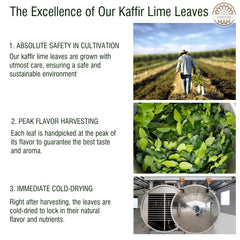 VERDIVIBE dried kaffir lime leaves in pan image suggesting easy infusion for fragrant broths.