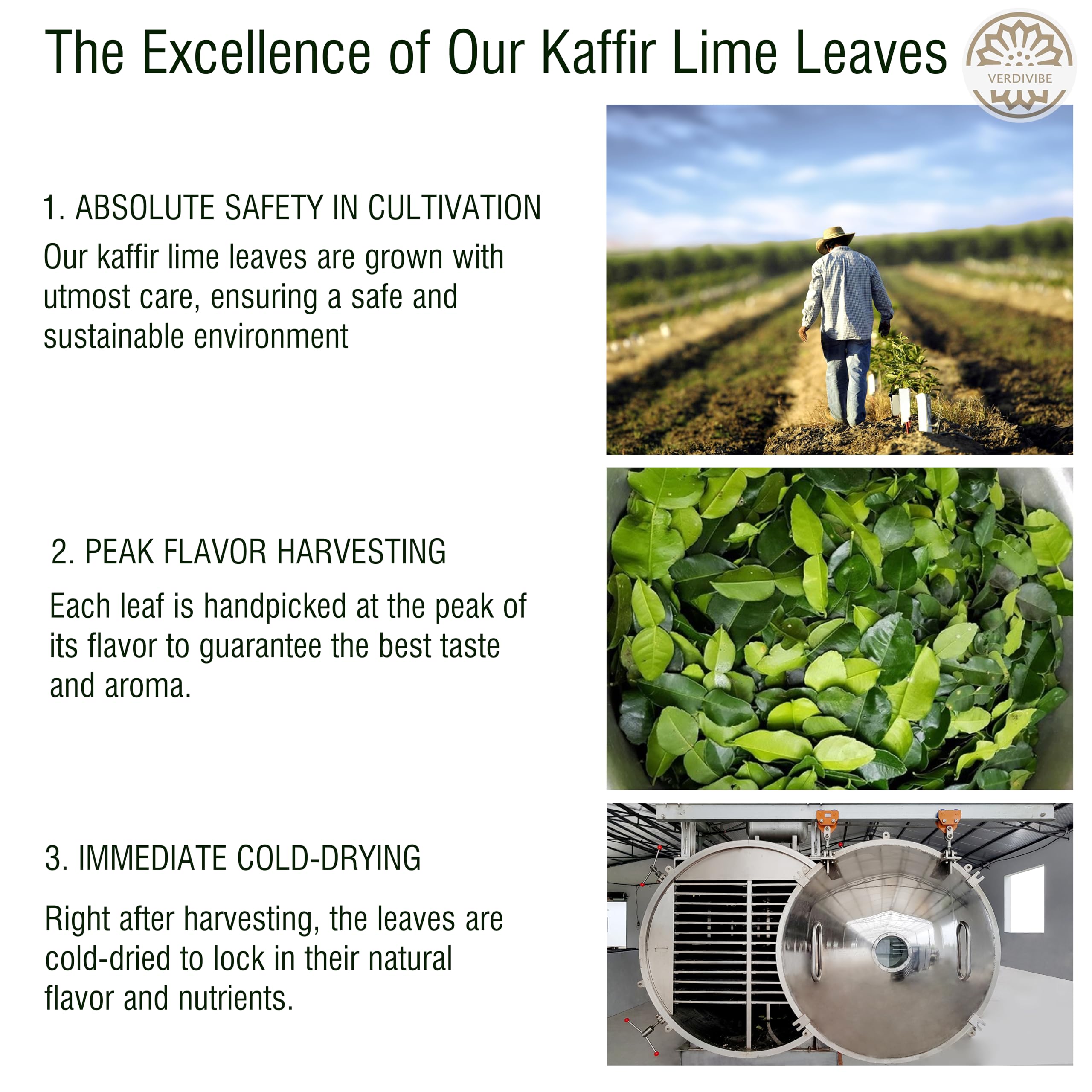 Verdivibe dried kaffir lime leaves pack opening shows fresh harvest quality.
