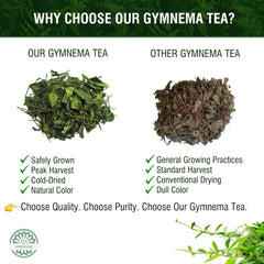 VerdiVibe Gymnema Tea Bags brewed cup ideal for a caffeine-free ritual.