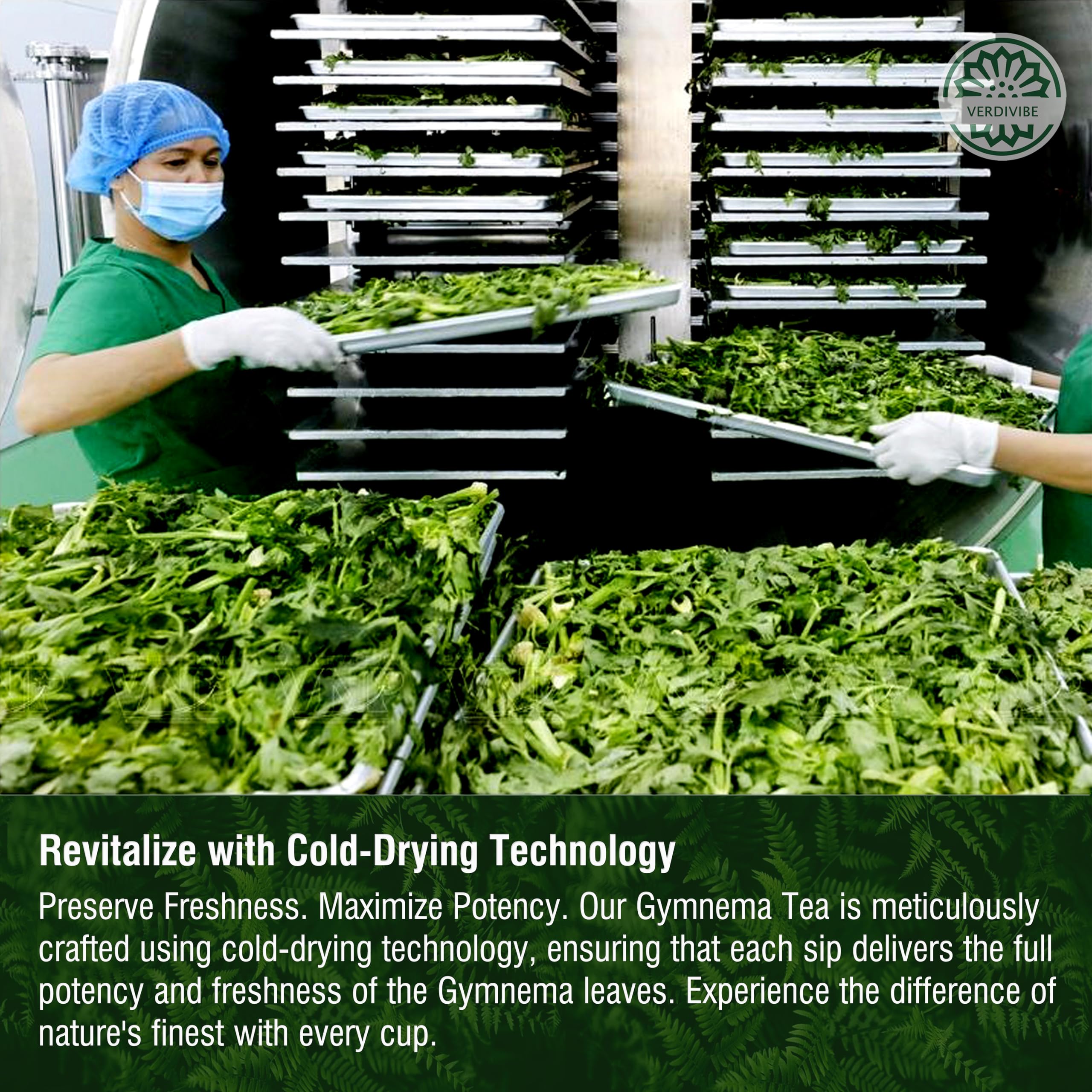 VerdiVibe Gymnema Tea Bags infuser steep releasing rich aroma.