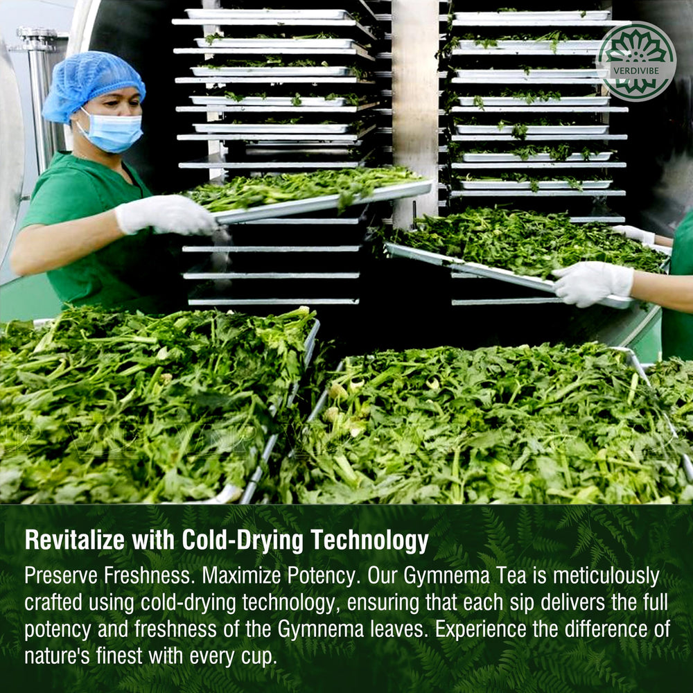 VerdiVibe Gymnema Tea Bags infuser steep releasing rich aroma.