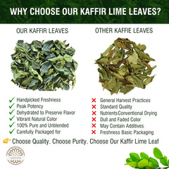 Verdivibe kaffir lime leaves close-up aroma emphasizes vibrant citrus scent.