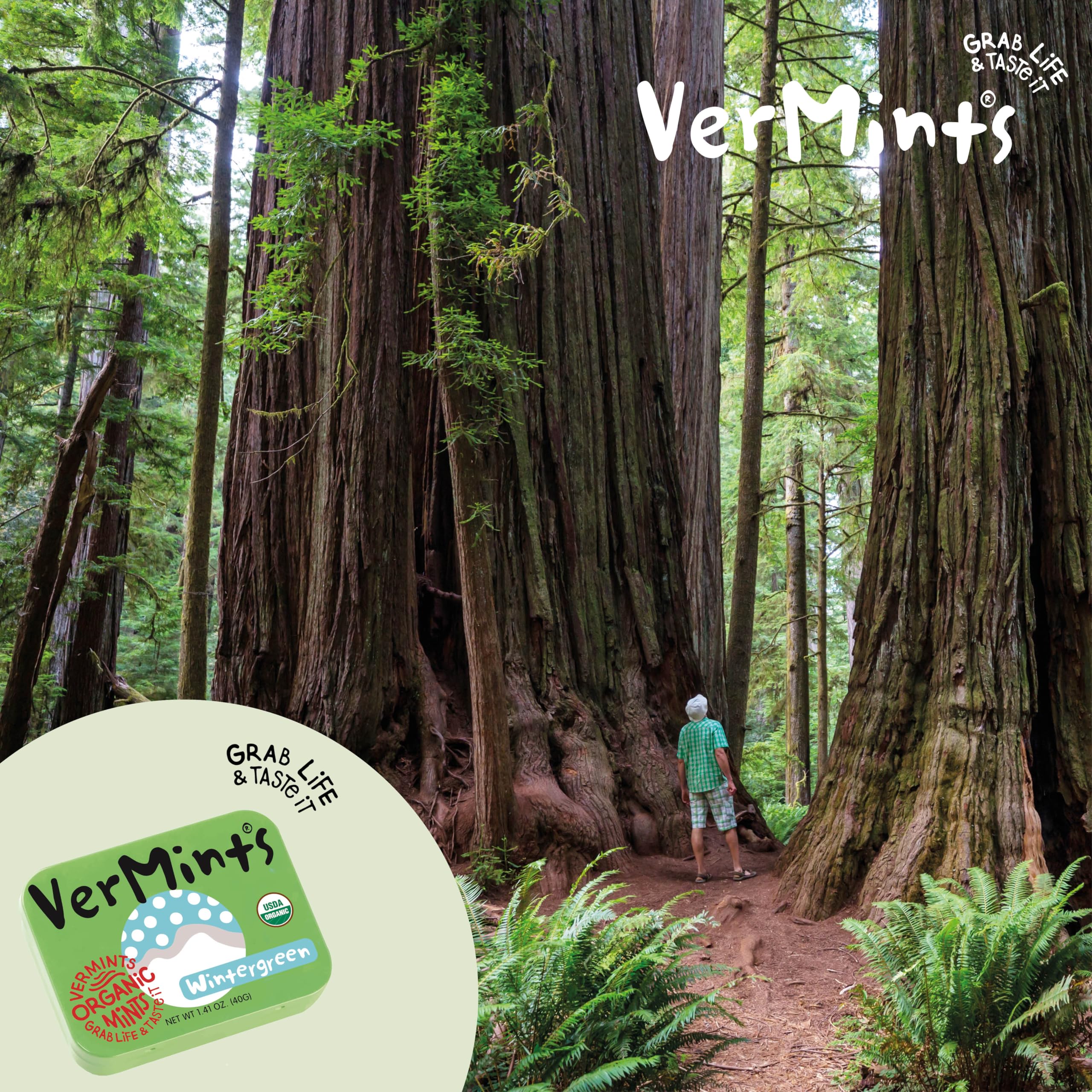 Vermints Wintergreen tin in pocket for on-the-go freshness.