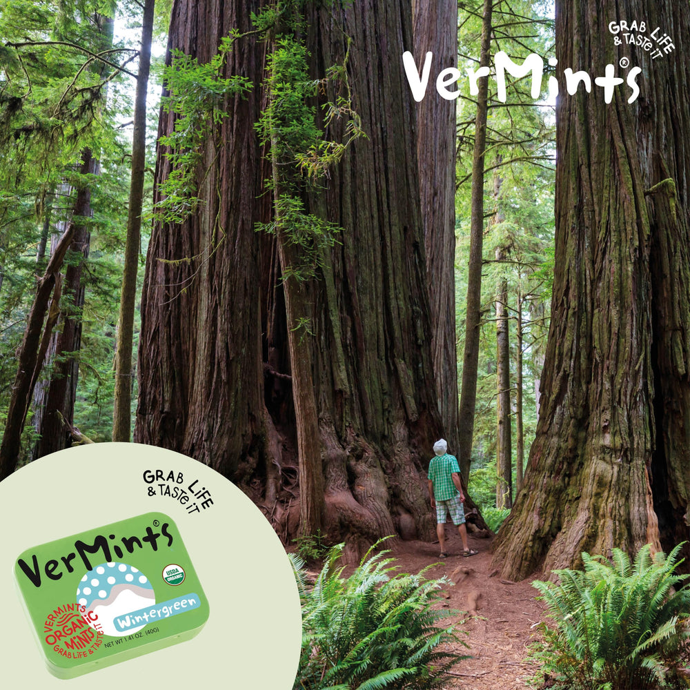 Vermints Wintergreen tin in pocket for on-the-go freshness.