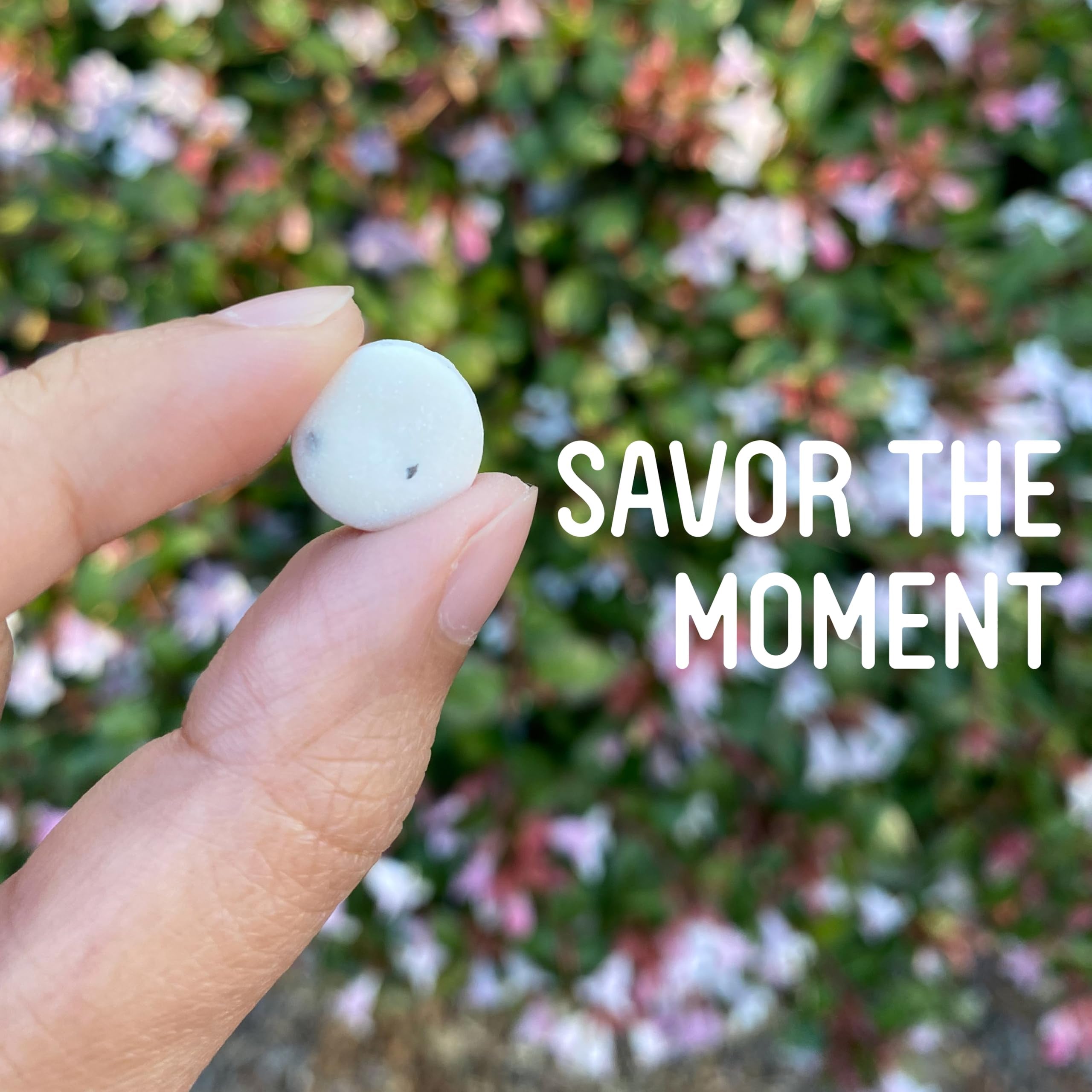 Packaging label highlights VerMints Organic Cinnamon mints as organic and non-GMO ingredients.
