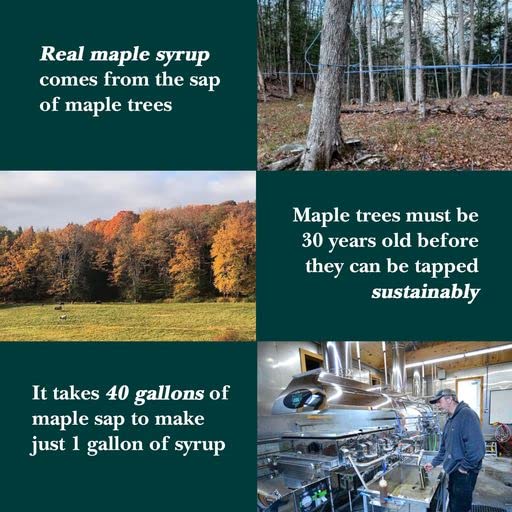 Vermont Maple Syrup Marinade Glaze adds flavor to meats