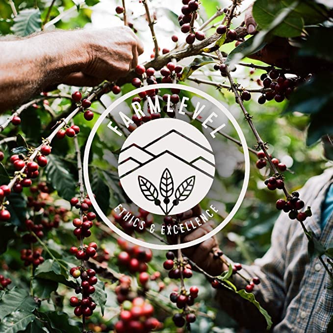 Verve Bronson Blend origin from Colombia and Central America with direct trade story