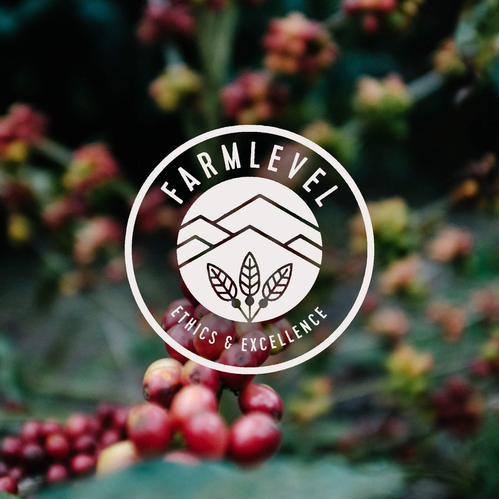 Direct trade farmers image emphasizes ethical sourcing and community impact.