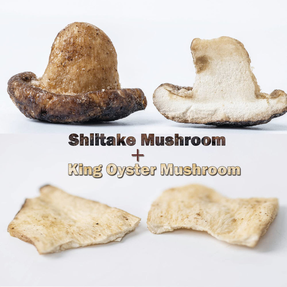 VIGOROUS MOUNTAINS king oyster mushroom crisps close-up for a satisfying bite.