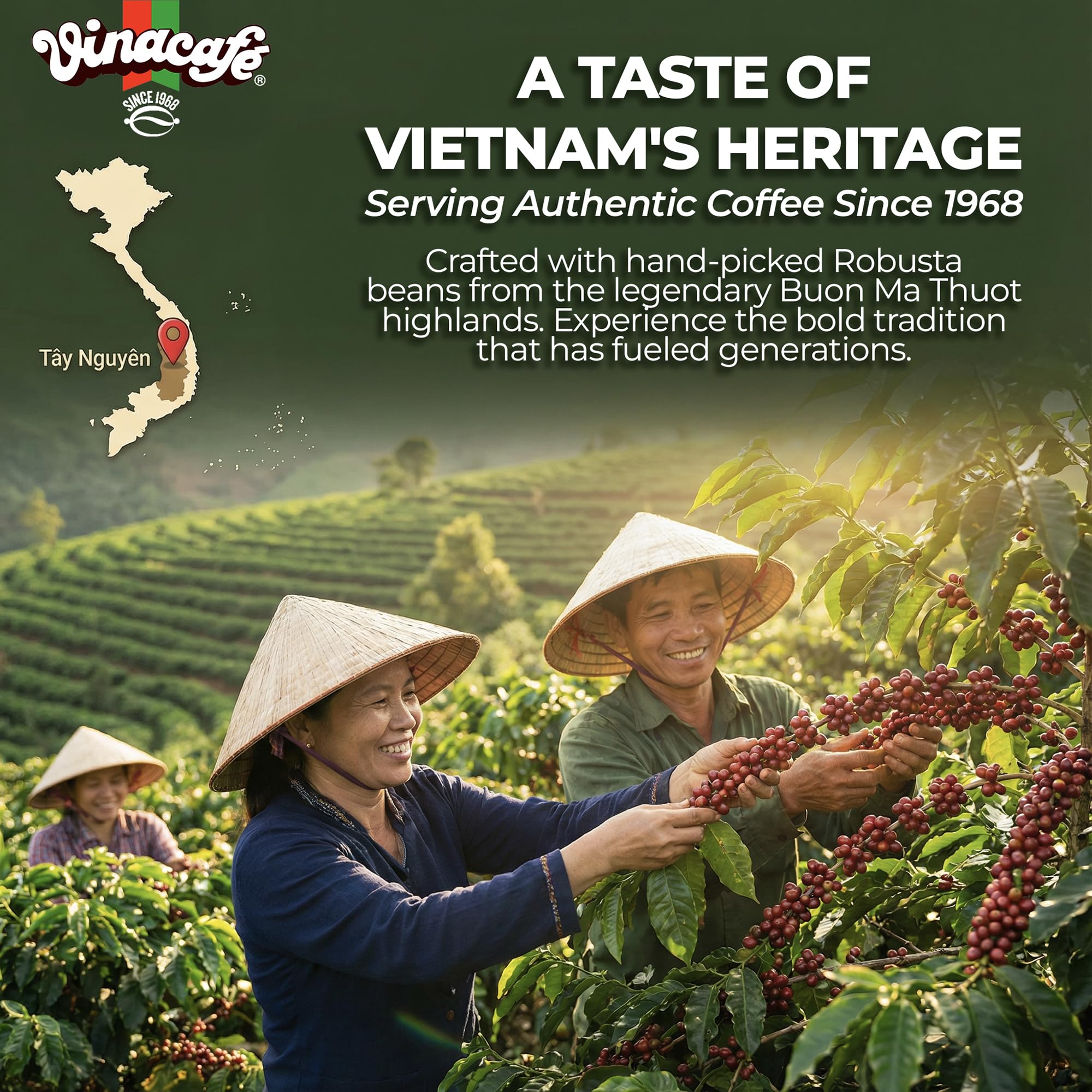 Vinacafe 20 sachets in compact packaging ideal for travel and office.