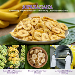 Vinamit banana chips on oatmeal for added fiber and crunch.