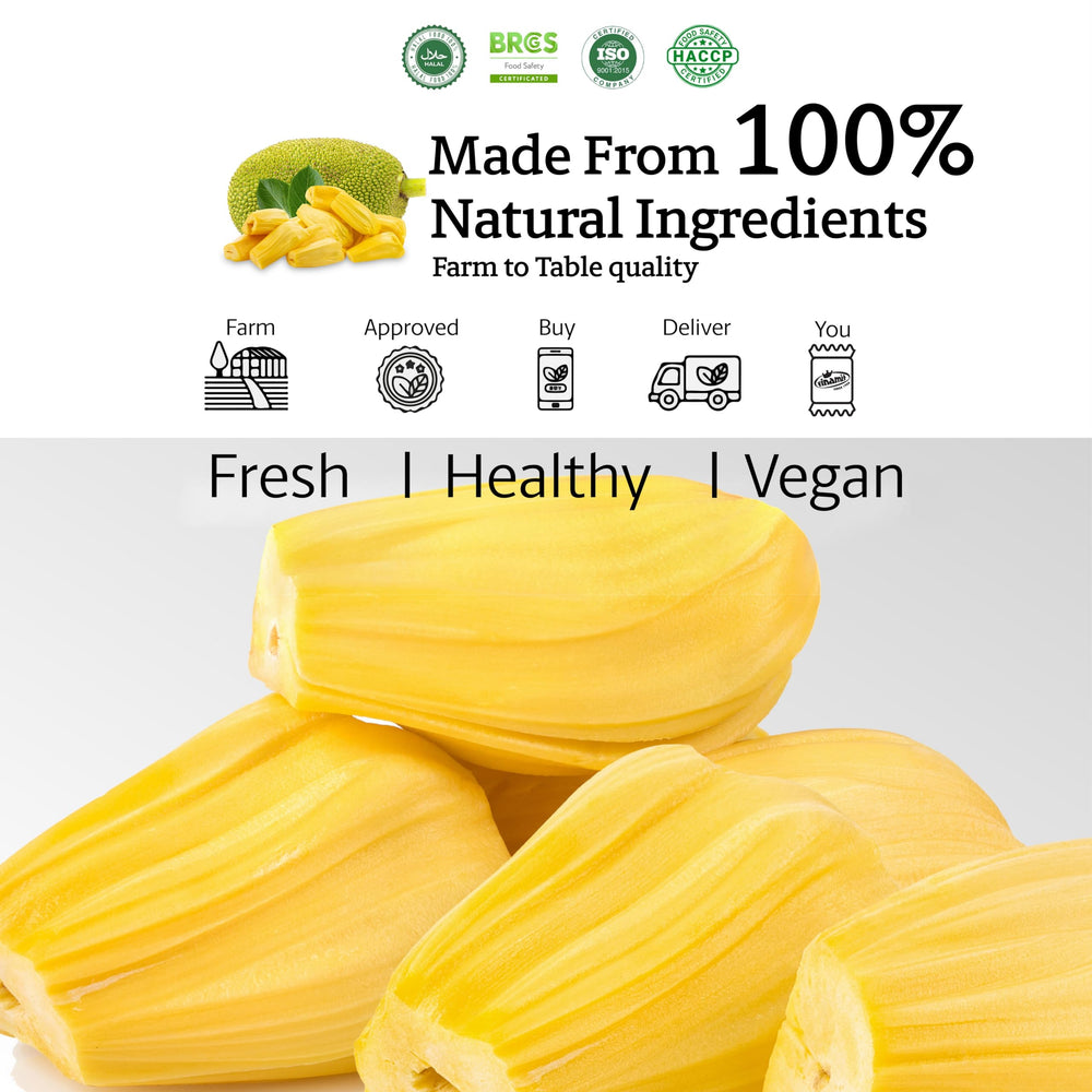 Vinamit gluten-free vegan jackfruit chips – dairy-free snack for gluten-free diets