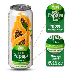 Chilled VINUT papaya juice poured over ice, perfect for a sunny afternoon.