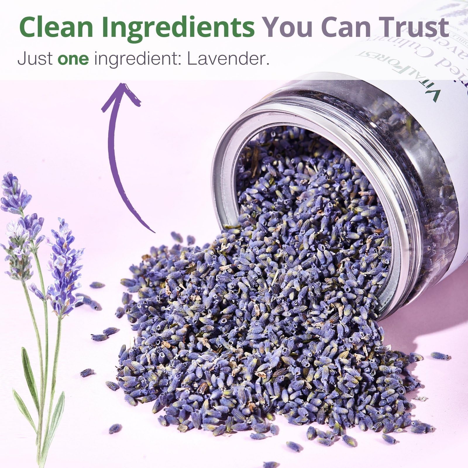 VitalForest lavender for wedding decor and sachets, adding color and scent.
