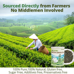 VitalForest Organic Sencha packaging shows USDA Organic quality and freshness