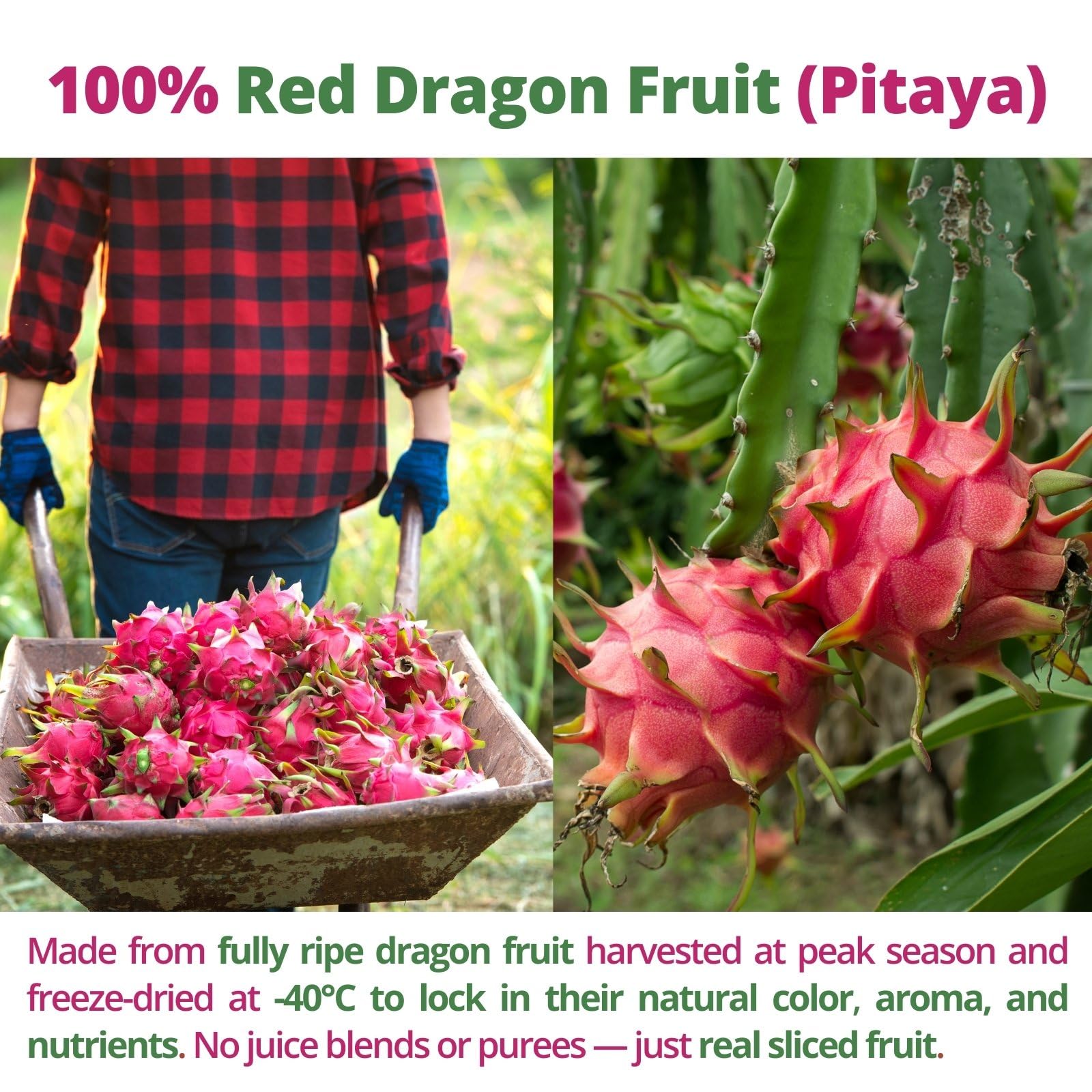 VitalForest resealable container helps keep dragon fruit crispy.