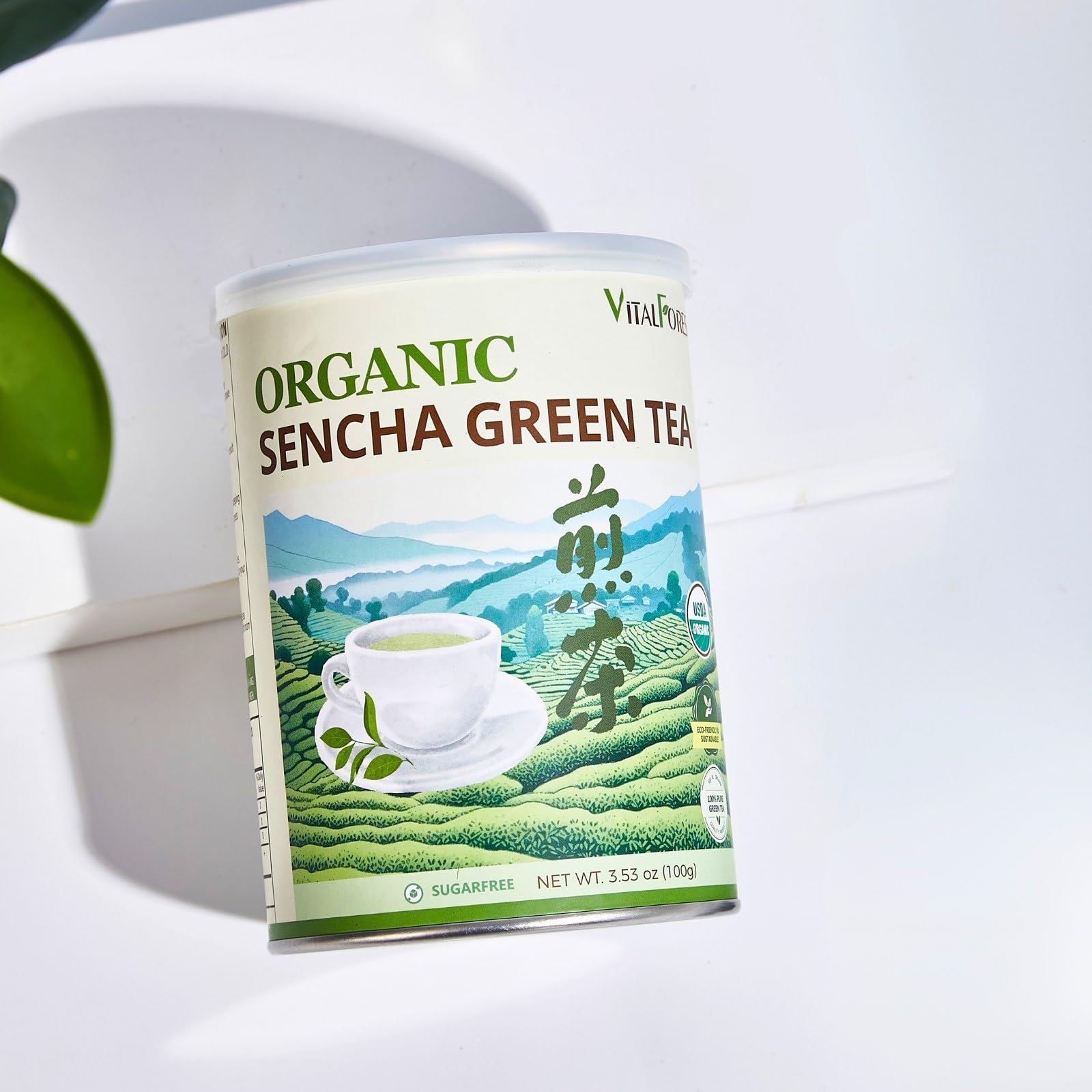 VitalForest green tea aroma fills the cup with a bright, inviting ritual
