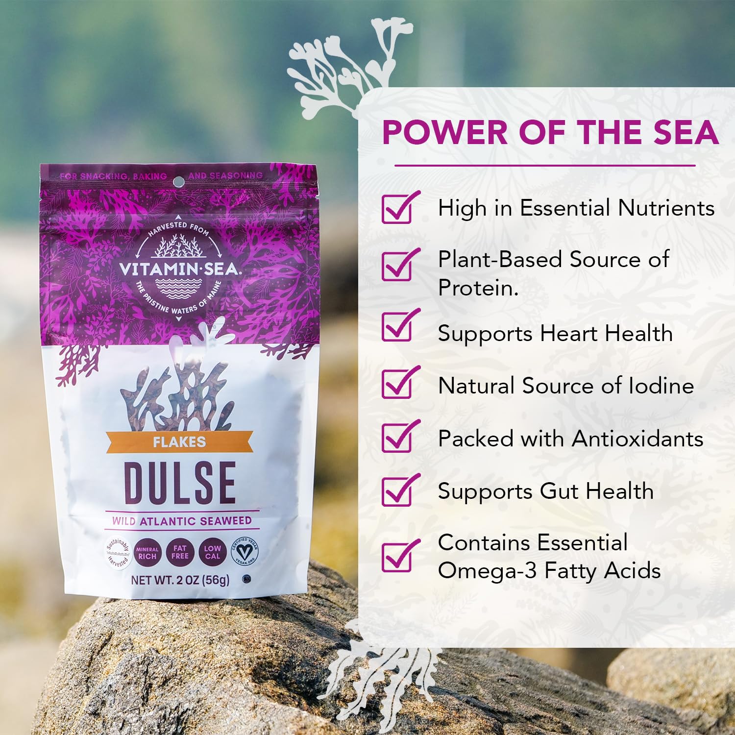 VITAMINSEA Dulse texture closeup reveals thin, leathery seaweed for recipes.