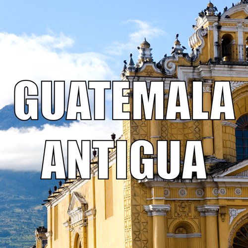 Volcanica Antigua whole beans highlight fresh aroma for versatile grind and brew.