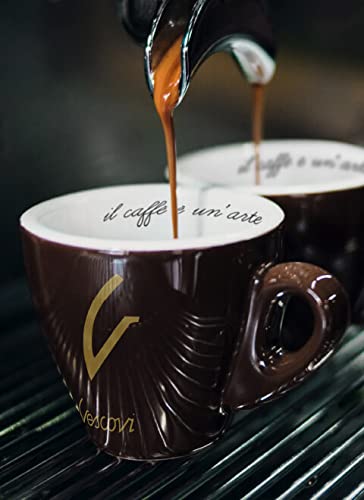 Pour-over setup with V Vescovi grounds illustrating versatile brewing options.