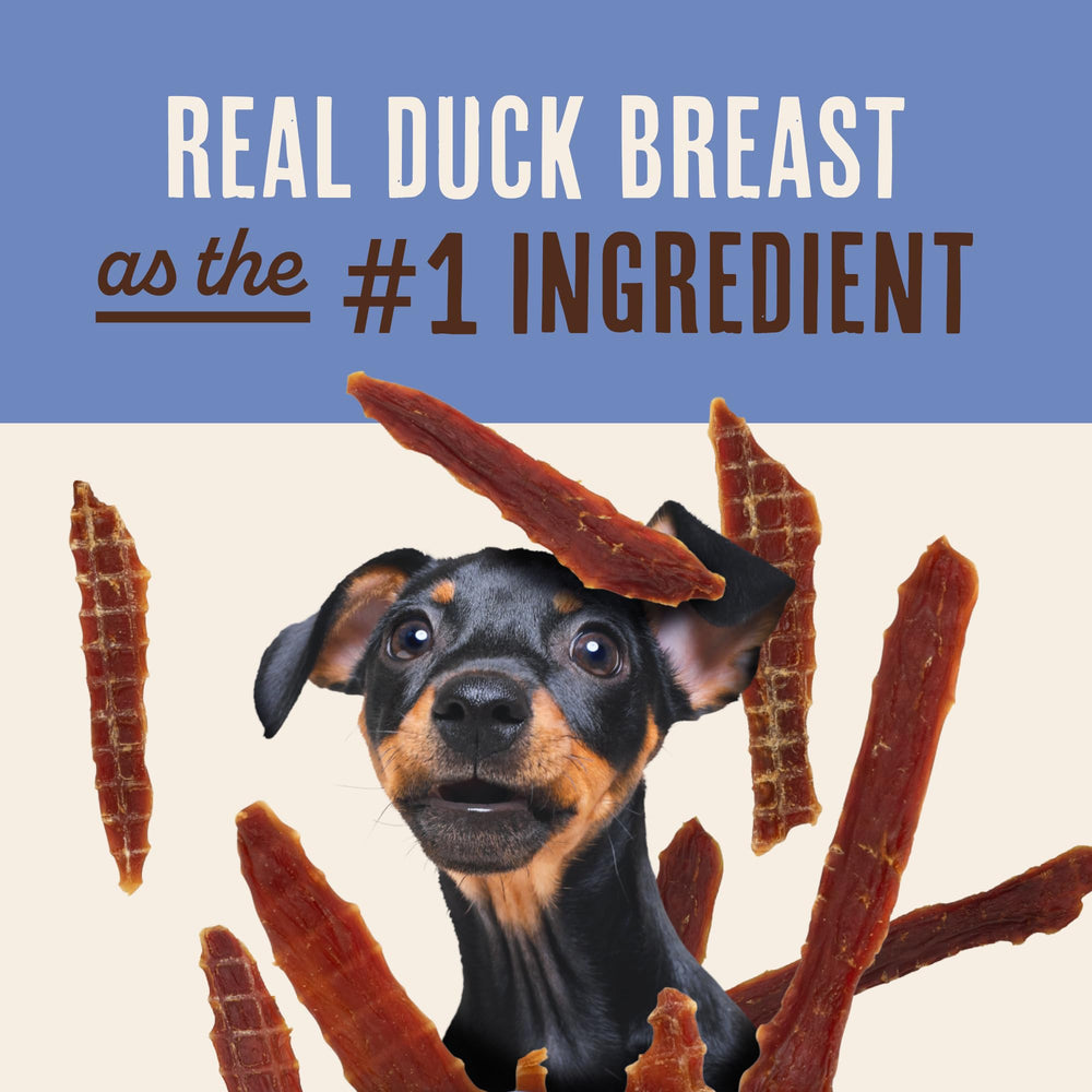 Real duck breast close-up in Waggin' Train jerky
