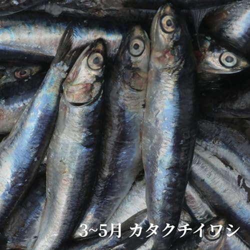 South Korea sourced ingredients for WangShin fish sauce