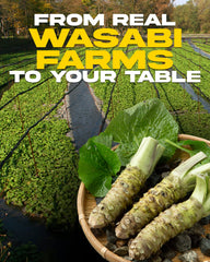 Wasabi-O real wasabi powder jar back displays ingredients and usage notes.
