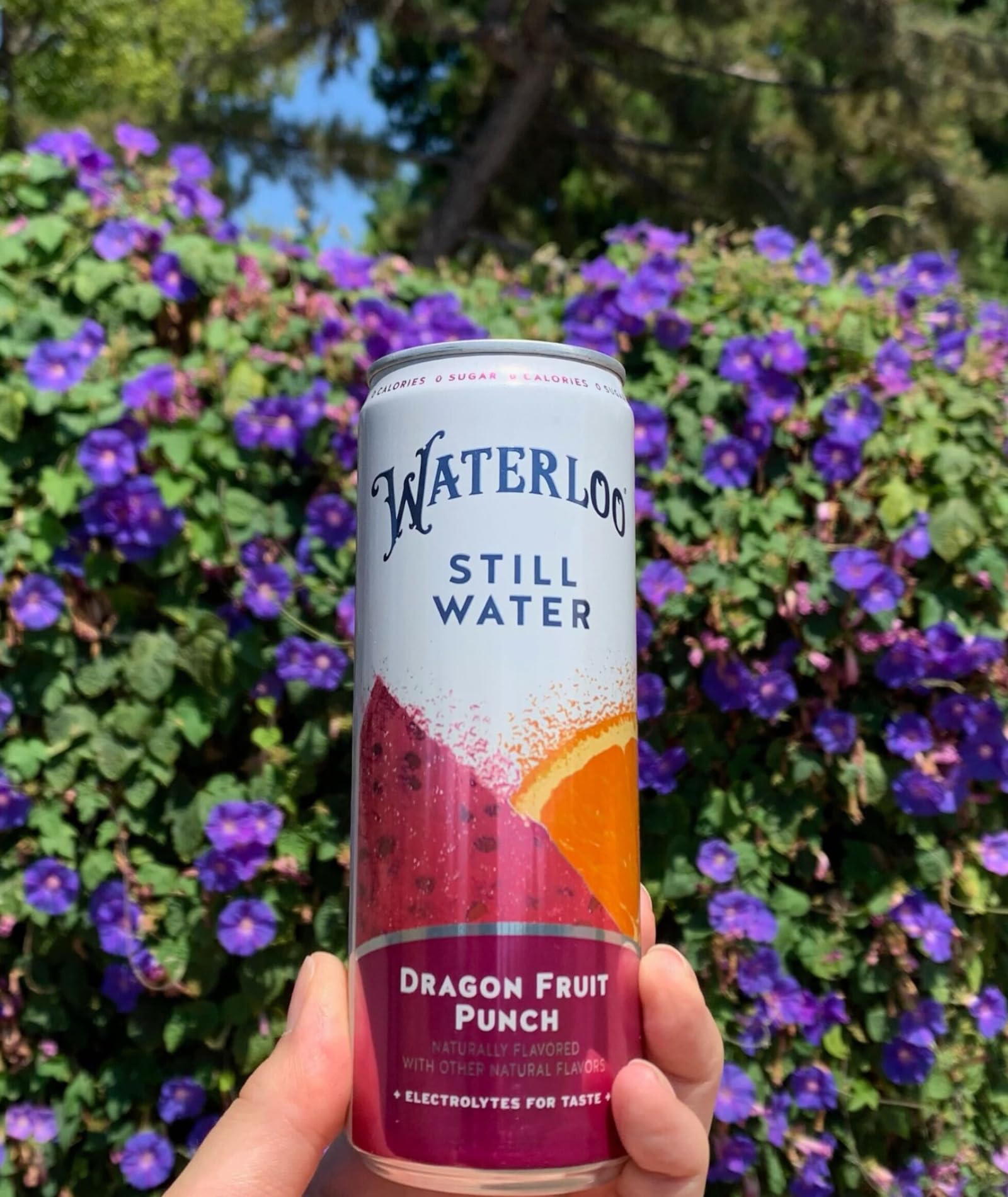 Waterloo Dragon Fruit Punch electrolyte-infused still water pour highlights refreshing flavor